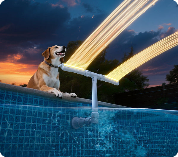 Default placeholder image